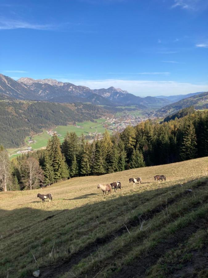 Apartmán Smaragd - Sld601 By Interhome Schladming
